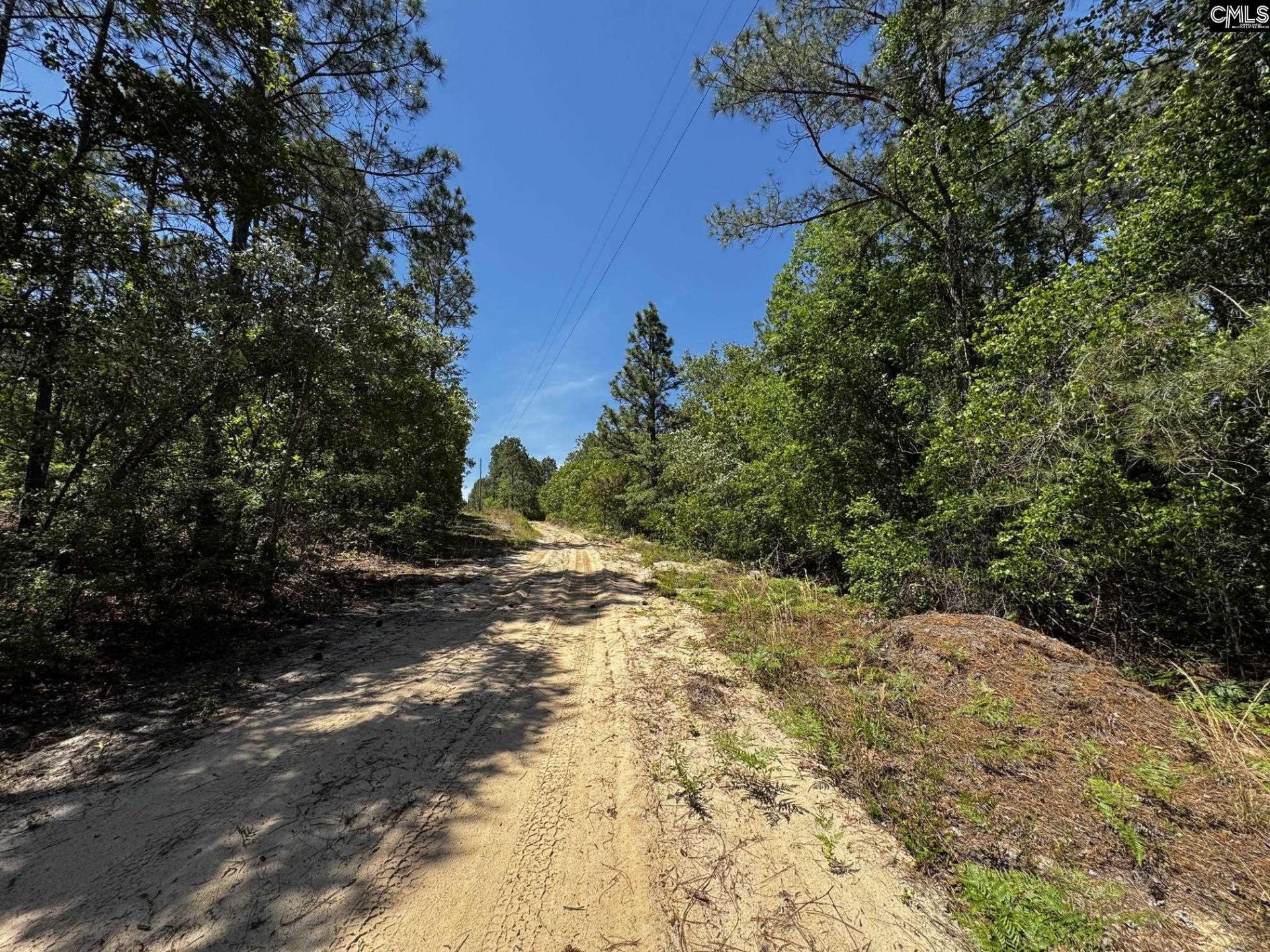 0 Sawyer Road  Photo 15