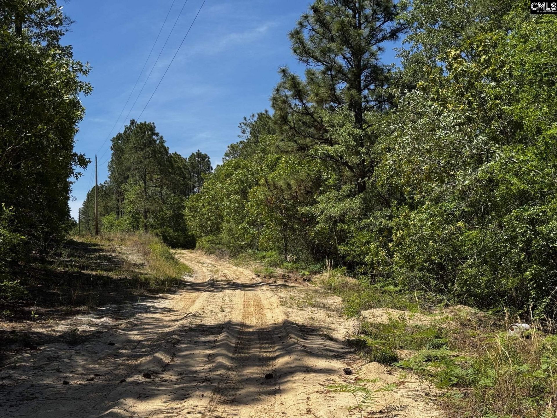 0 Sawyer Road  Photo 16
