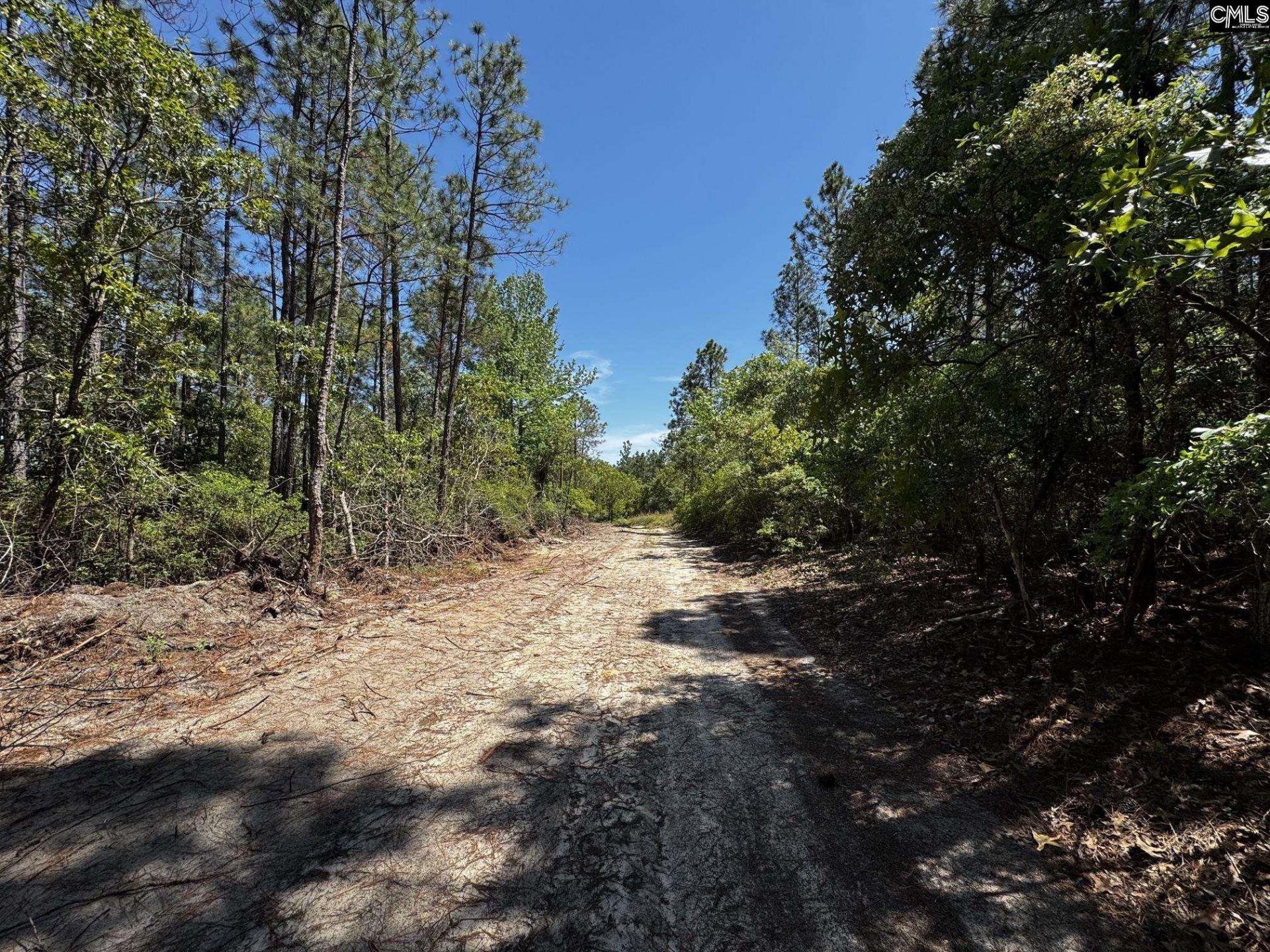 0 Sawyer Road  Photo 17