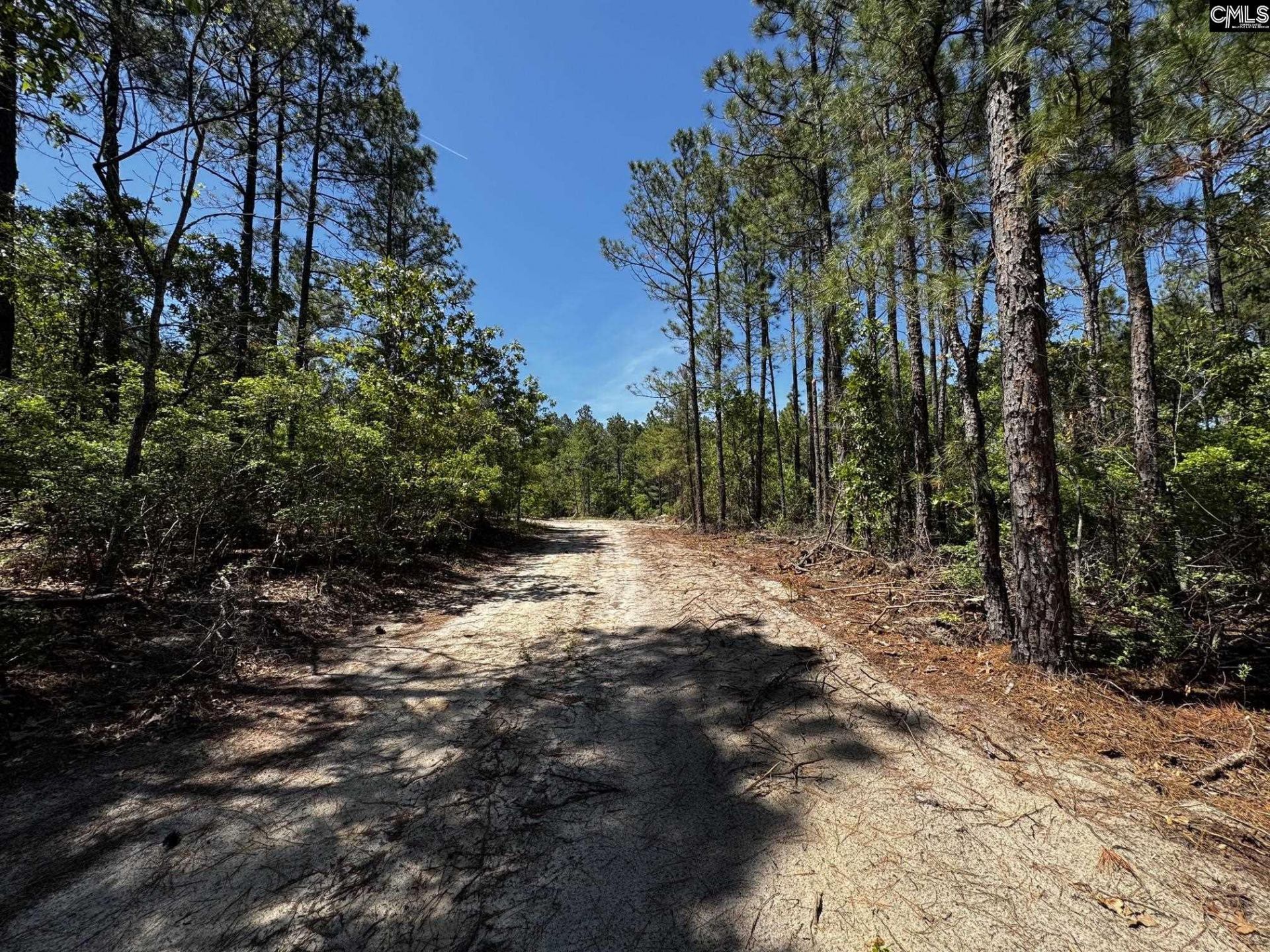 0 Sawyer Road  Photo 18
