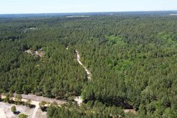 0 Sawyer Road  photo 4