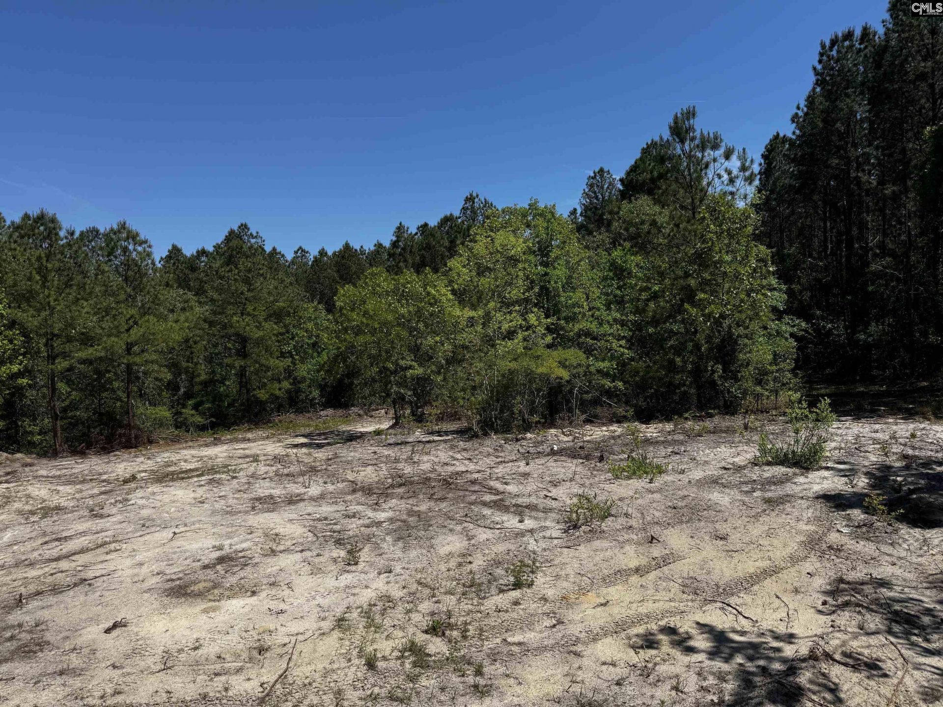 0 Sawyer Road  Photo 21