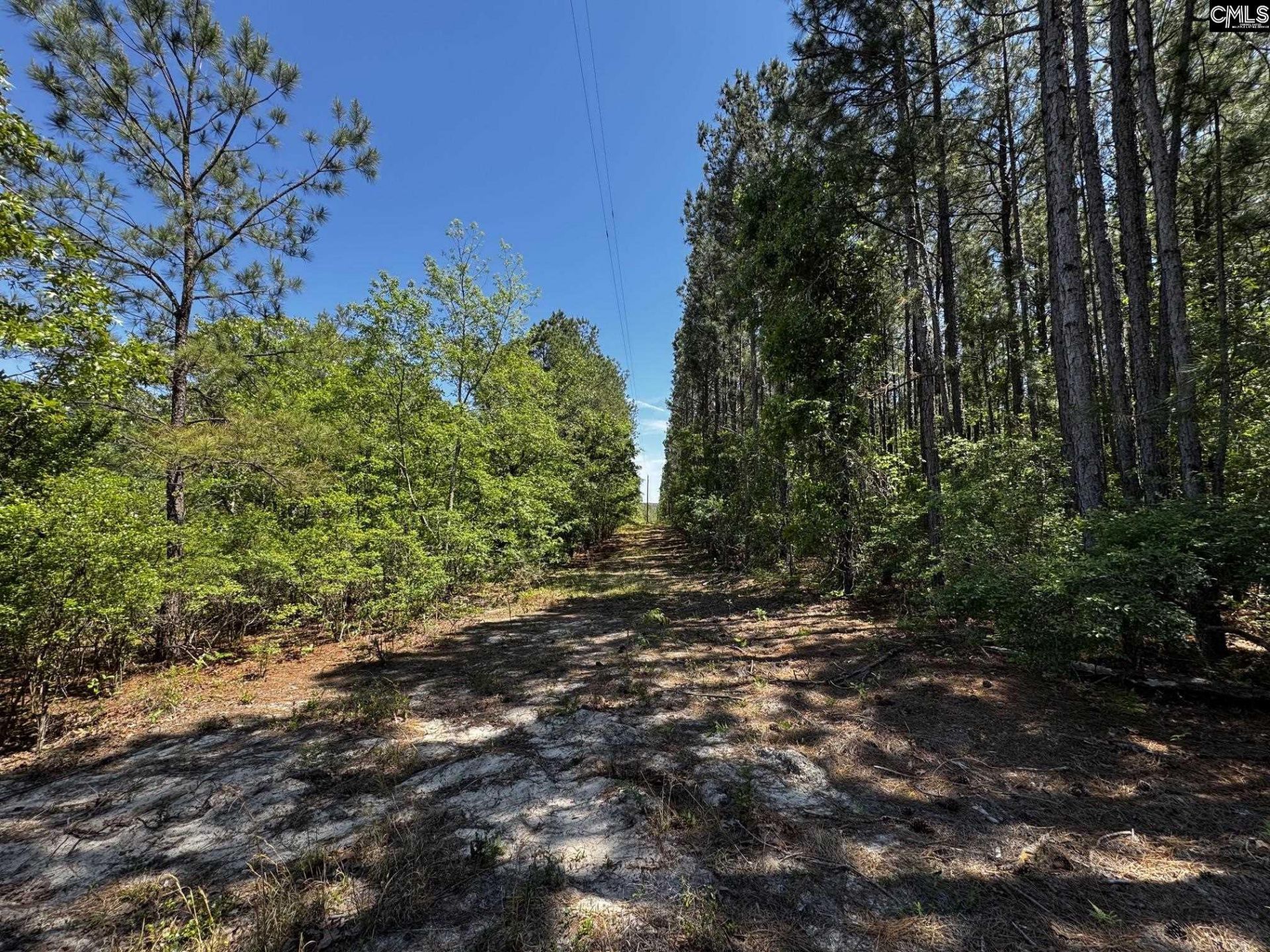 0 Sawyer Road  Photo 22