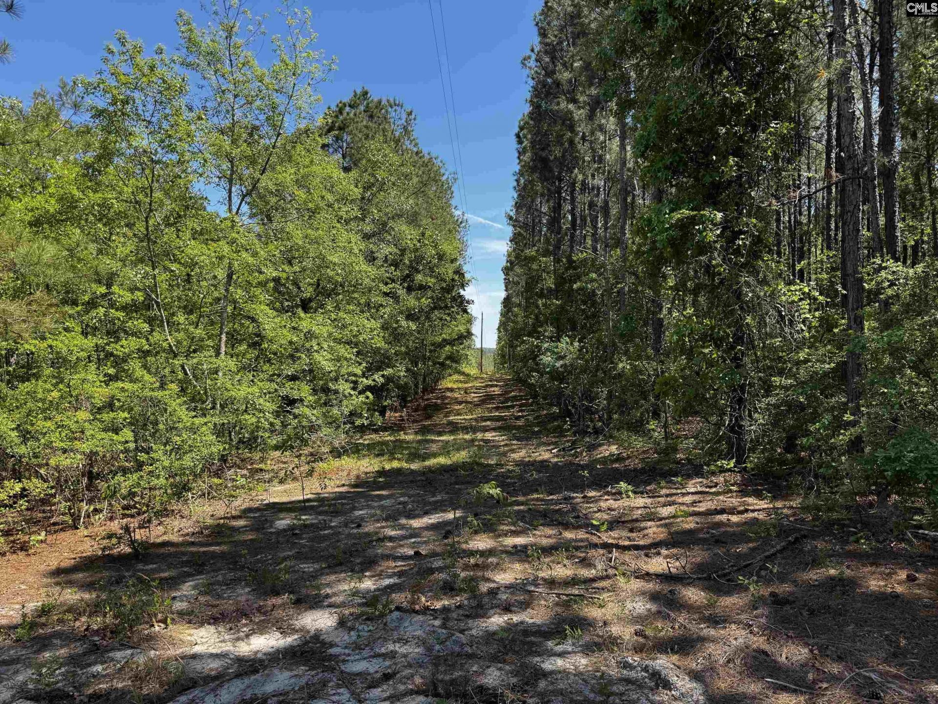 0 Sawyer Road  Photo 23