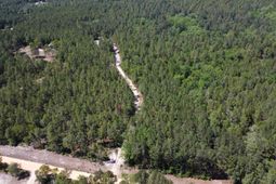 0 Sawyer Road  photo 4