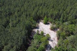 0 Sawyer Road  photo 4