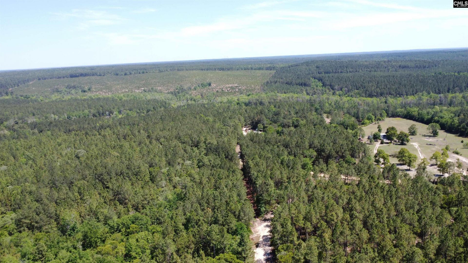 0 Sawyer Road  Photo 7
