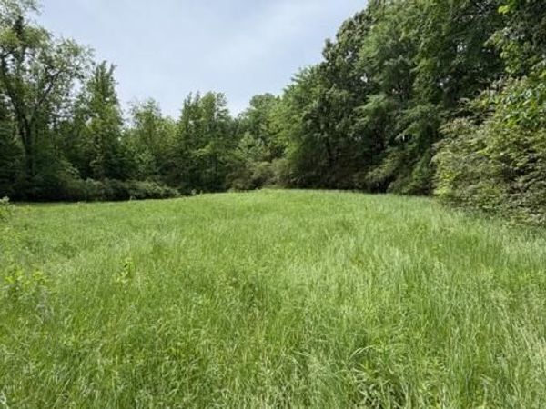 00 Terry Road , Cedar Grove, TN 38321