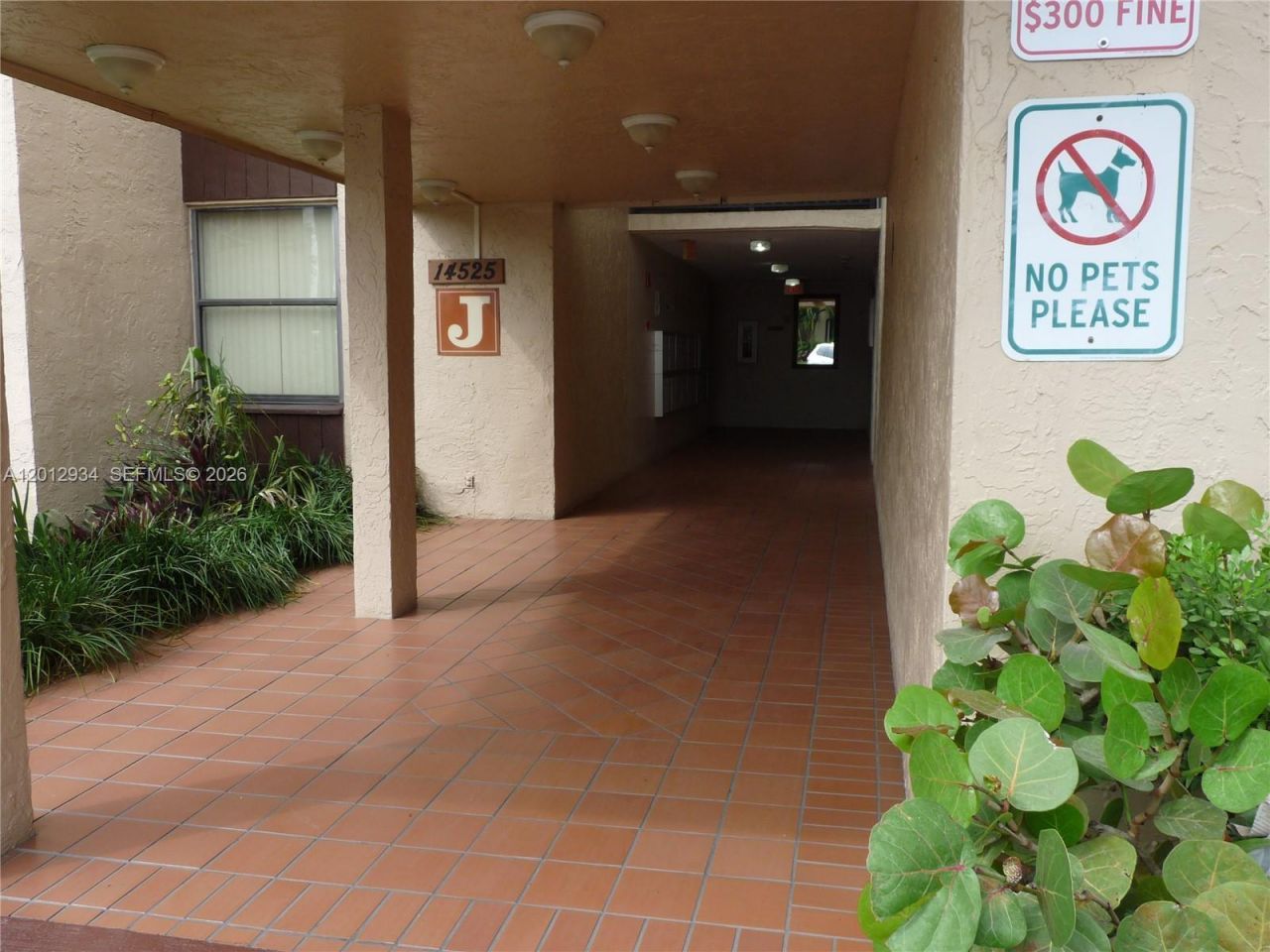 14525 N Kendall Dr, Unit 402J, Miami, FL 33186 Photo