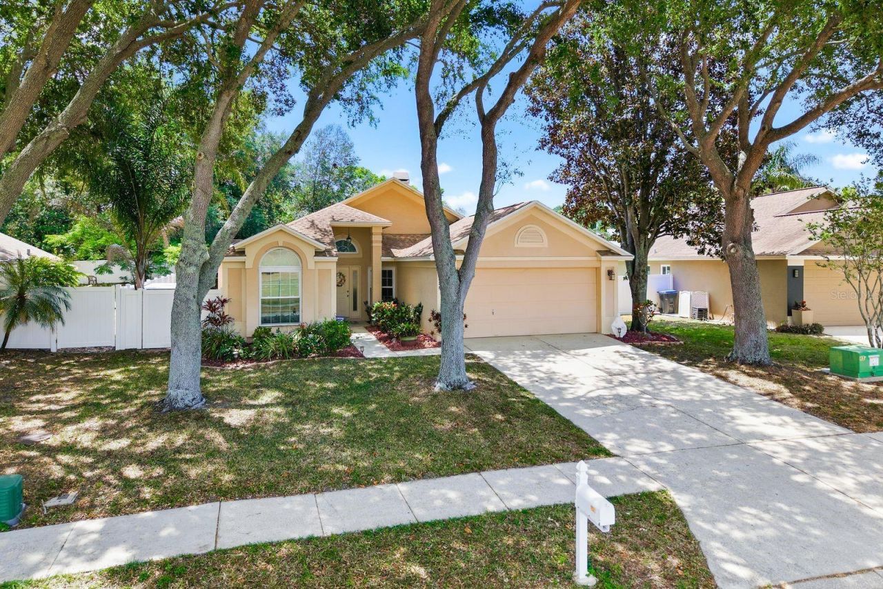 3228 Bentley Drive , Palm Harbor, FL 34684 Photo