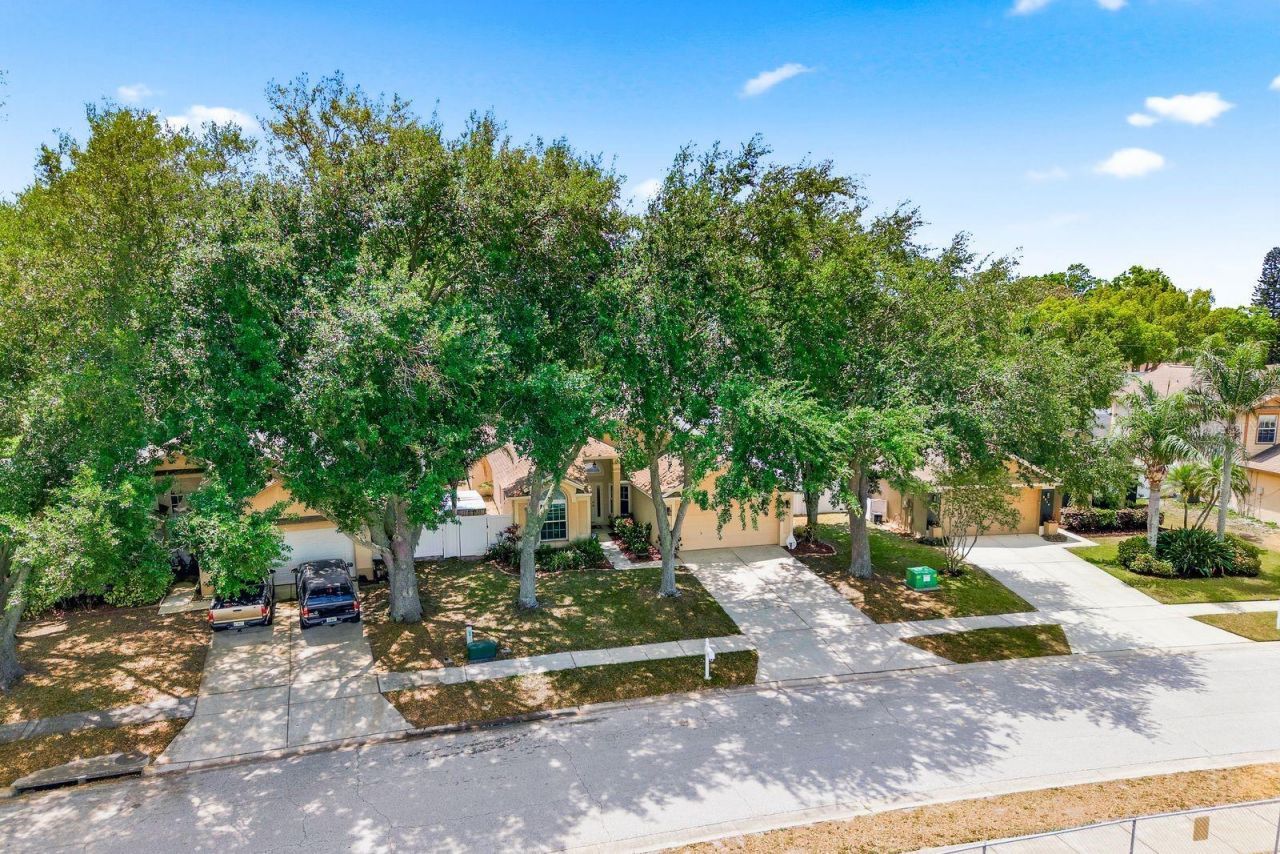 3228 Bentley Drive , Palm Harbor, FL 34684 Photo