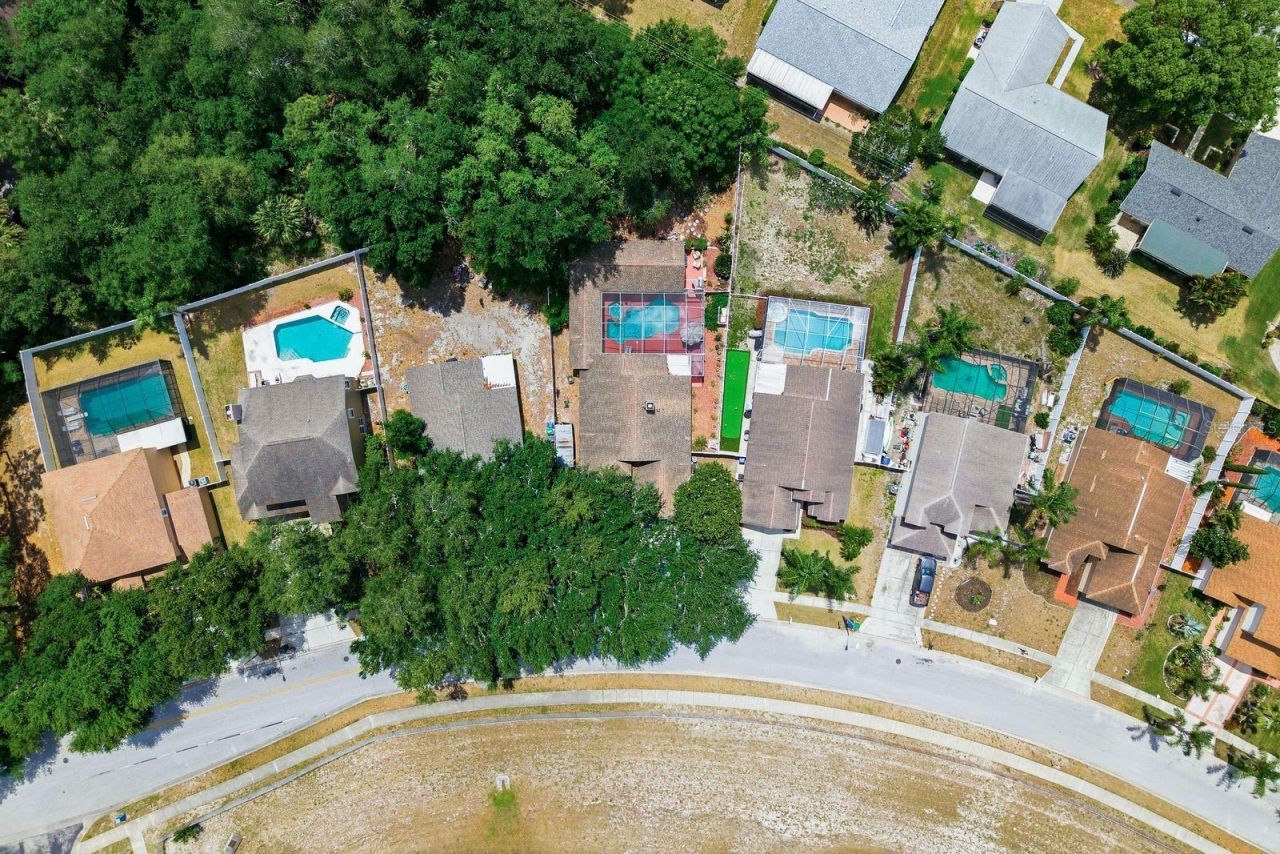3228 Bentley Drive , Palm Harbor, FL 34684 Photo