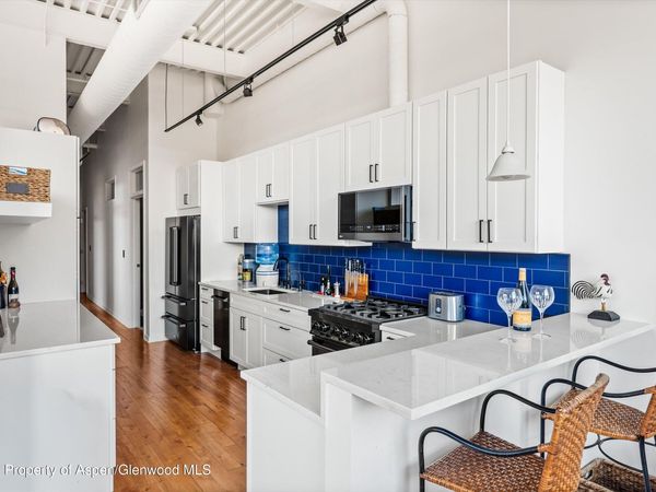 361 Robinson Street, Unit 208, Basalt, CO 81621