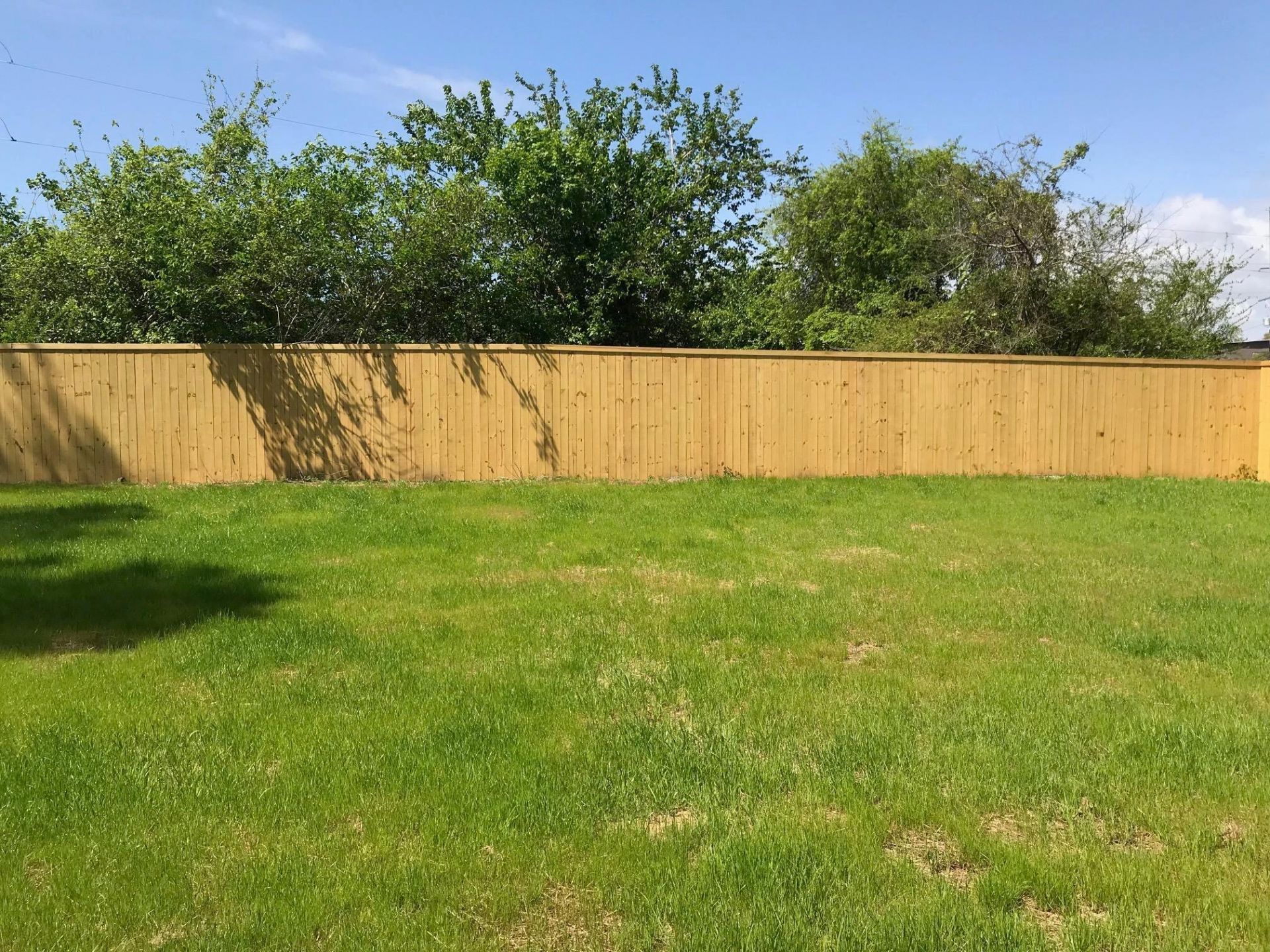 831 Jordan Street Photo 24
