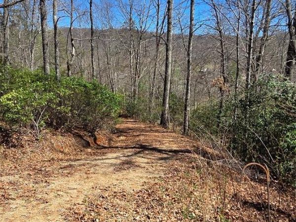 90 Kimiko Lane S, Balsam Grove, NC 28708