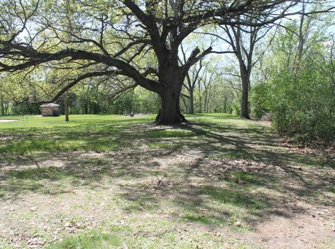 Main Photo