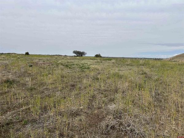 TBD Hwy 184, Lewis, CO 81327