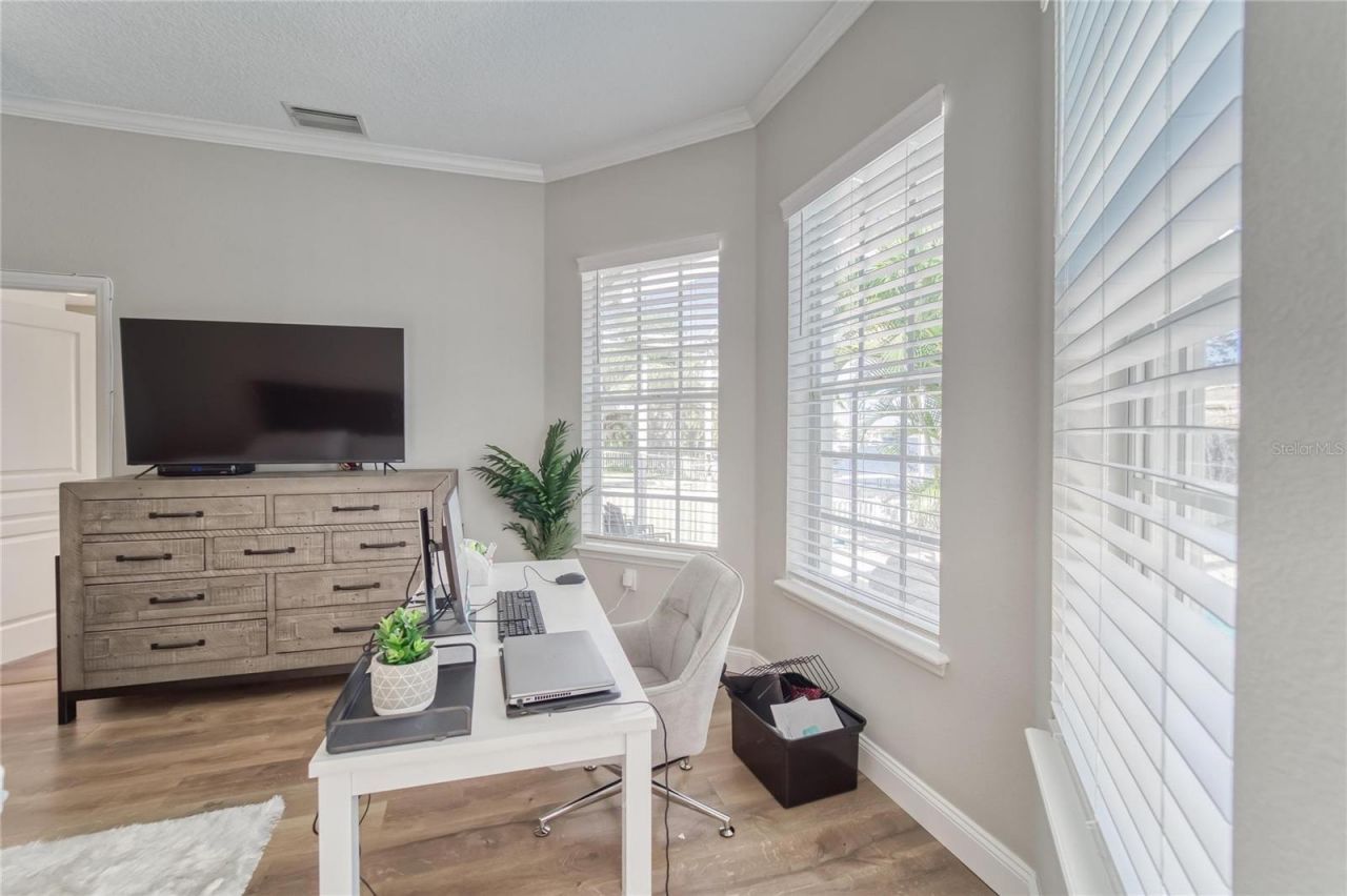 5225 Brighton Shore Drive, Apollo Beach, FL 33572 Photo