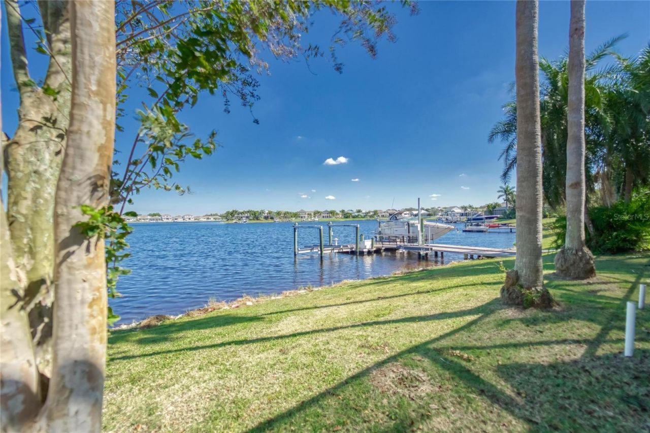 5225 Brighton Shore Drive, Apollo Beach, FL 33572 Photo