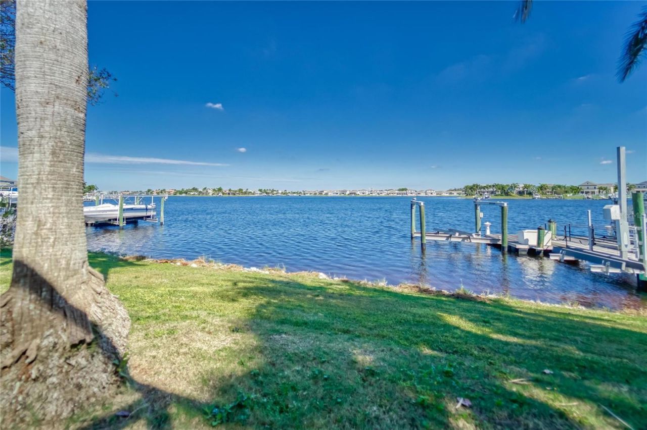 5225 Brighton Shore Drive, Apollo Beach, FL 33572 Photo