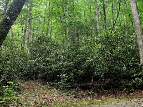 0 Holder Cemetery Road , Tellico Plains, TN 37385