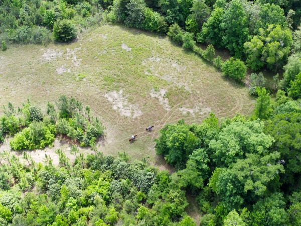 0 County Road 231, Abbeville, AL 36310
