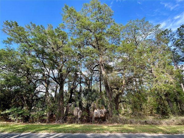 4819 NE 211TH DRIVE , EARLETON, FL 32631