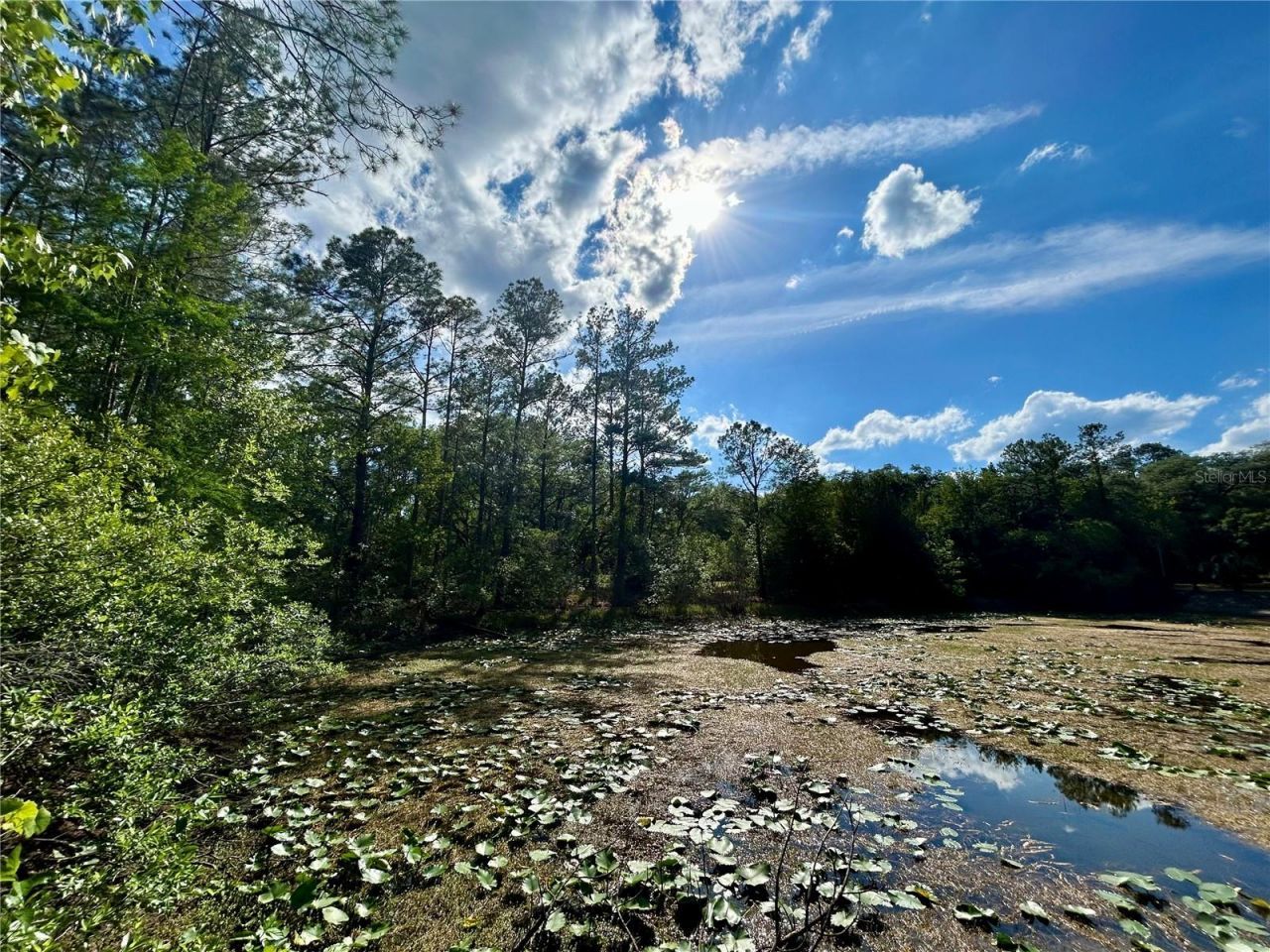 4819 NE 211th Drive , Earleton, FL 32631 Photo