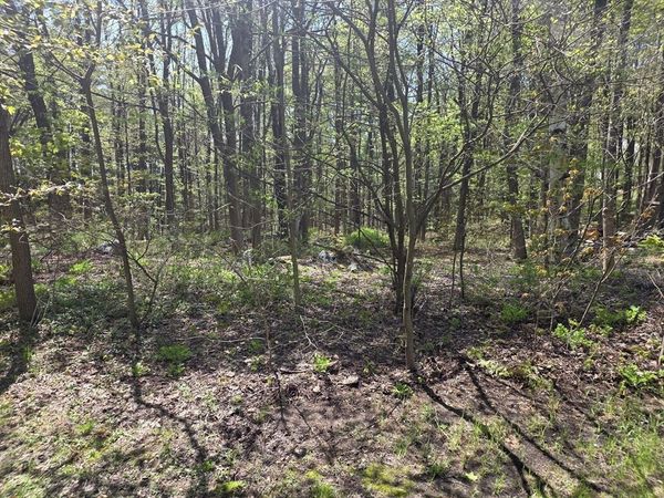 Lot 1 Winter St, Orange, MA 01364