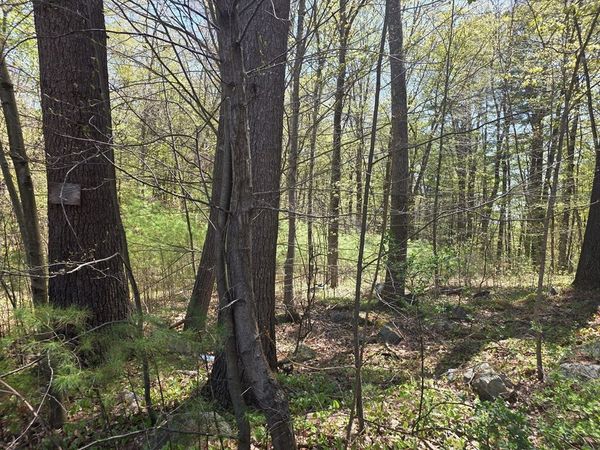Lot 2 Beacon St, Orange, MA 01364