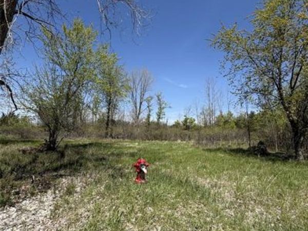 Parcel 6 Fisher Road , Howell Twp, MI 48855