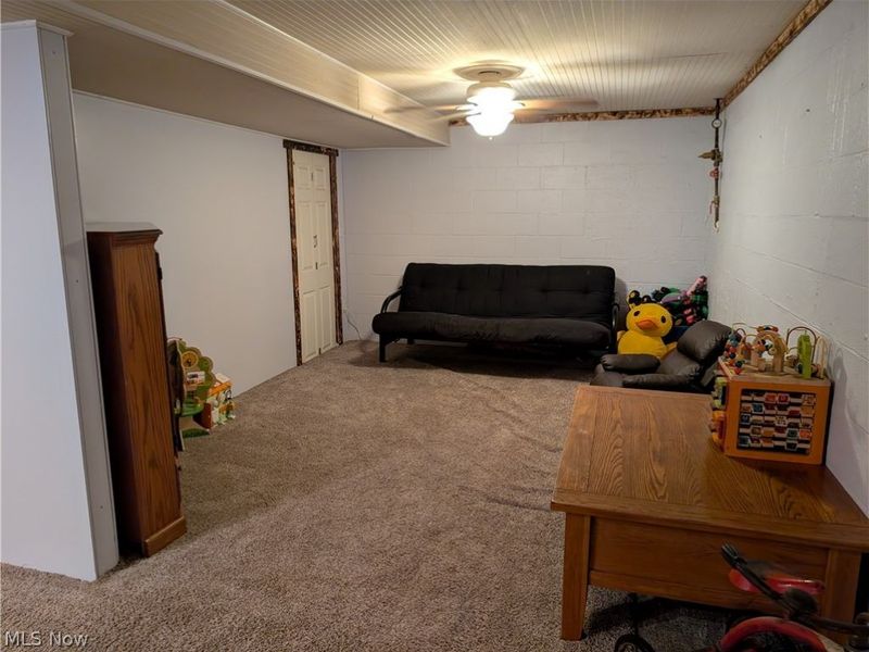 56359 Marietta Road, Pleasant City, OH 43772 Photo 33
