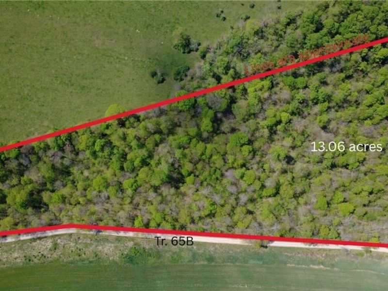 Township Road 62, Dresden, OH 43812 Photo 2
