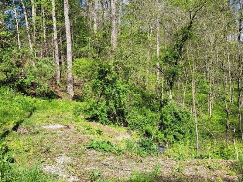 Township Road 62, Dresden, OH 43812 Photo 3