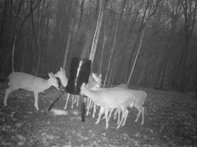 Township Road 62, Dresden, OH 43812 Photo 7