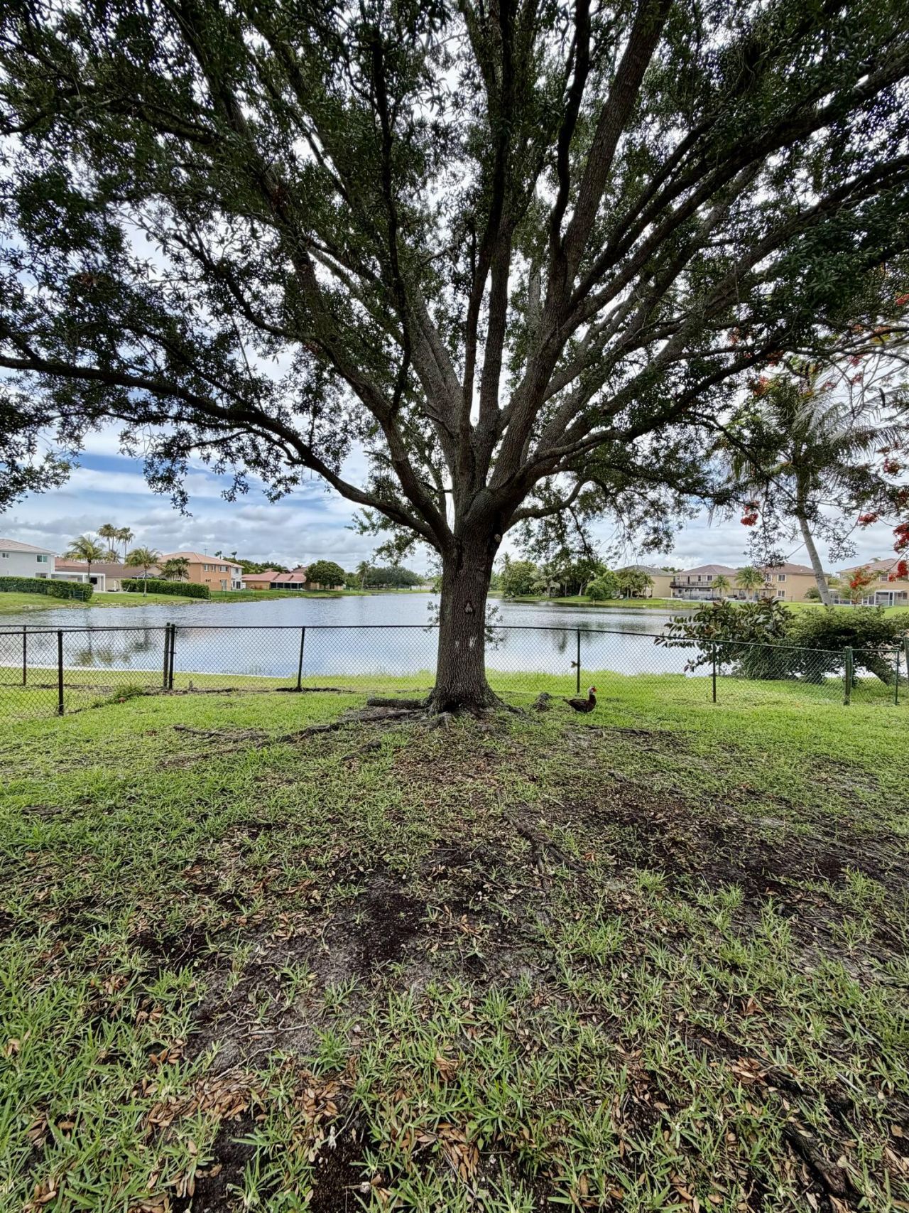 387 SW 206th Avenue, Pembroke Pines, FL 33029 Photo