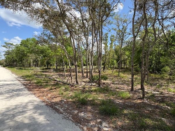 190th Ave, Old Town, FL 32680