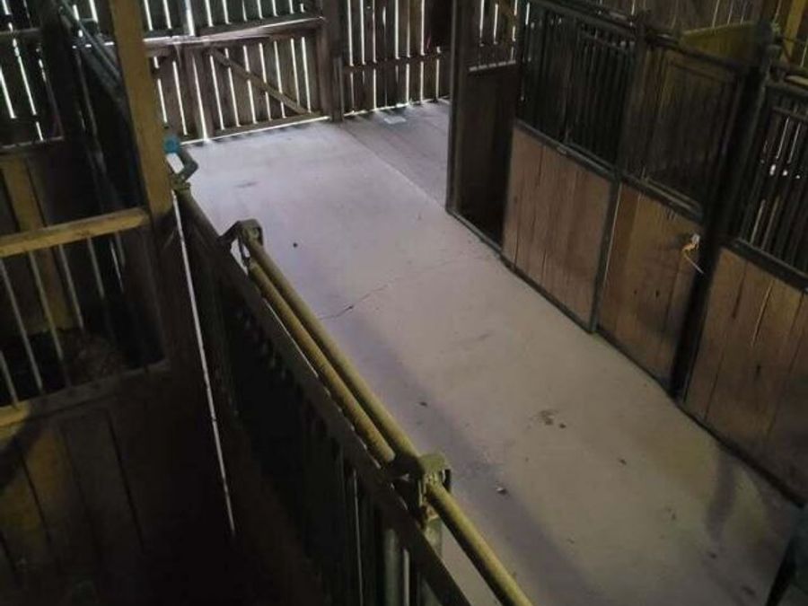 Property Image 14