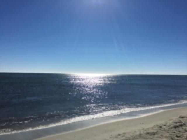 1537 Gulfstream Ct. Photo 65