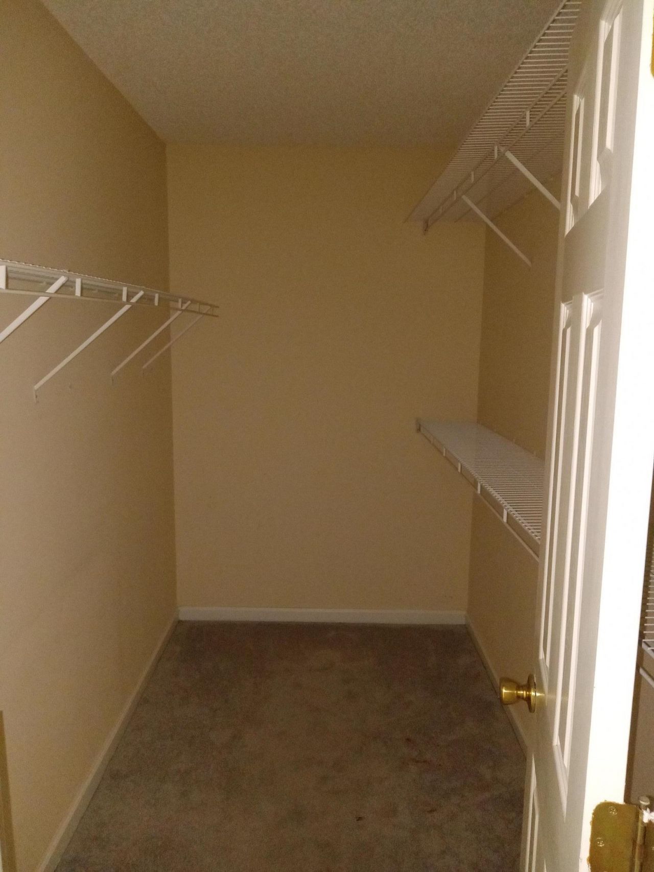 2729 Canvasback Trail Photo 6