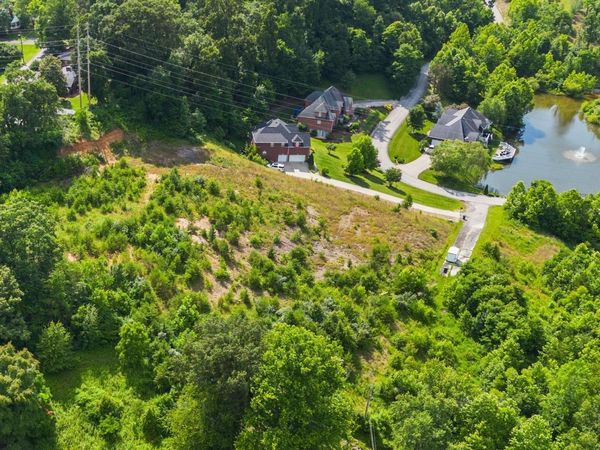 0 Ivy Creek , Bellefonte, KY 41101