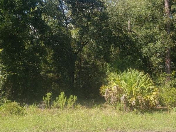 2949 W GRAPEVINE COURT , DUNNELLON, FL 34433