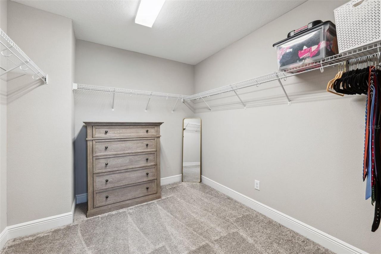 4275 Burdick Loop , Odessa, FL 33556 Photo