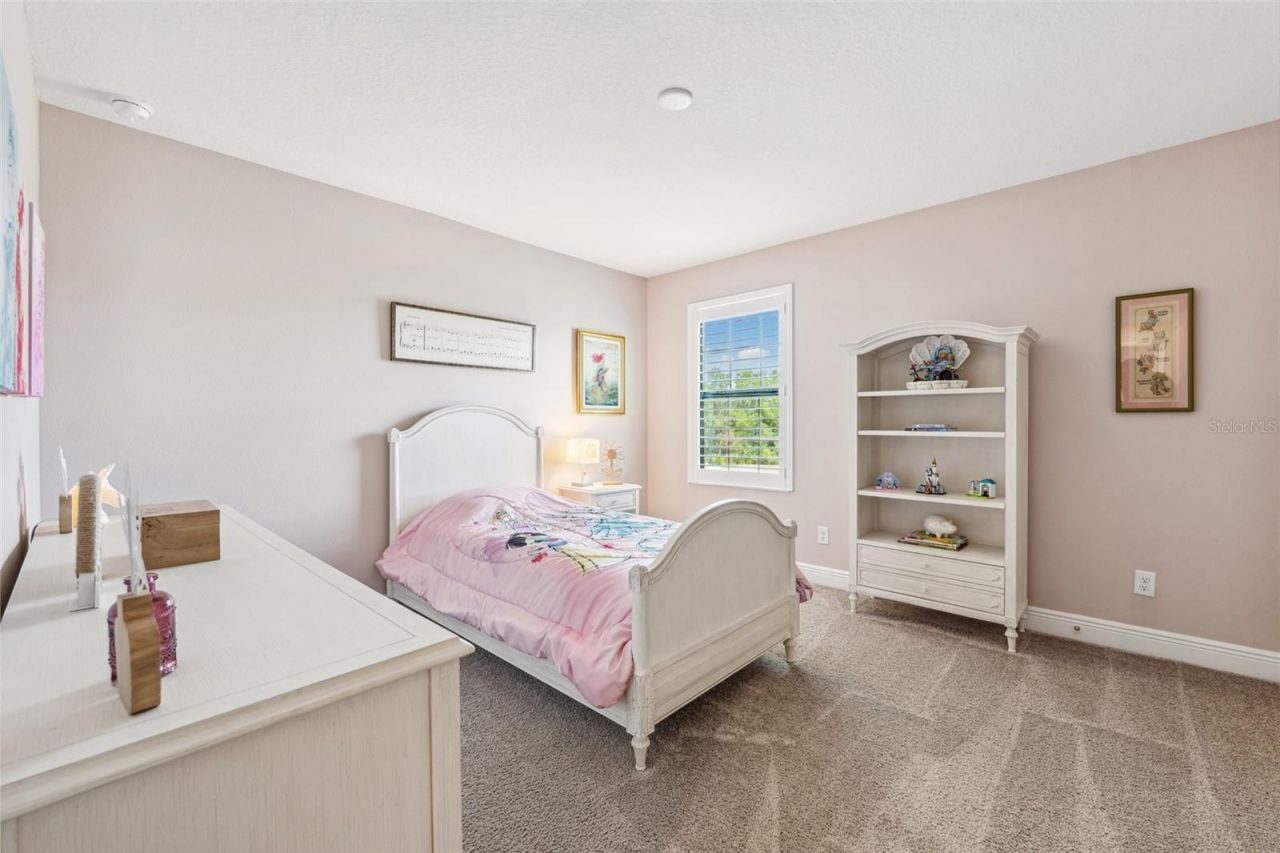 4275 Burdick Loop , Odessa, FL 33556 Photo