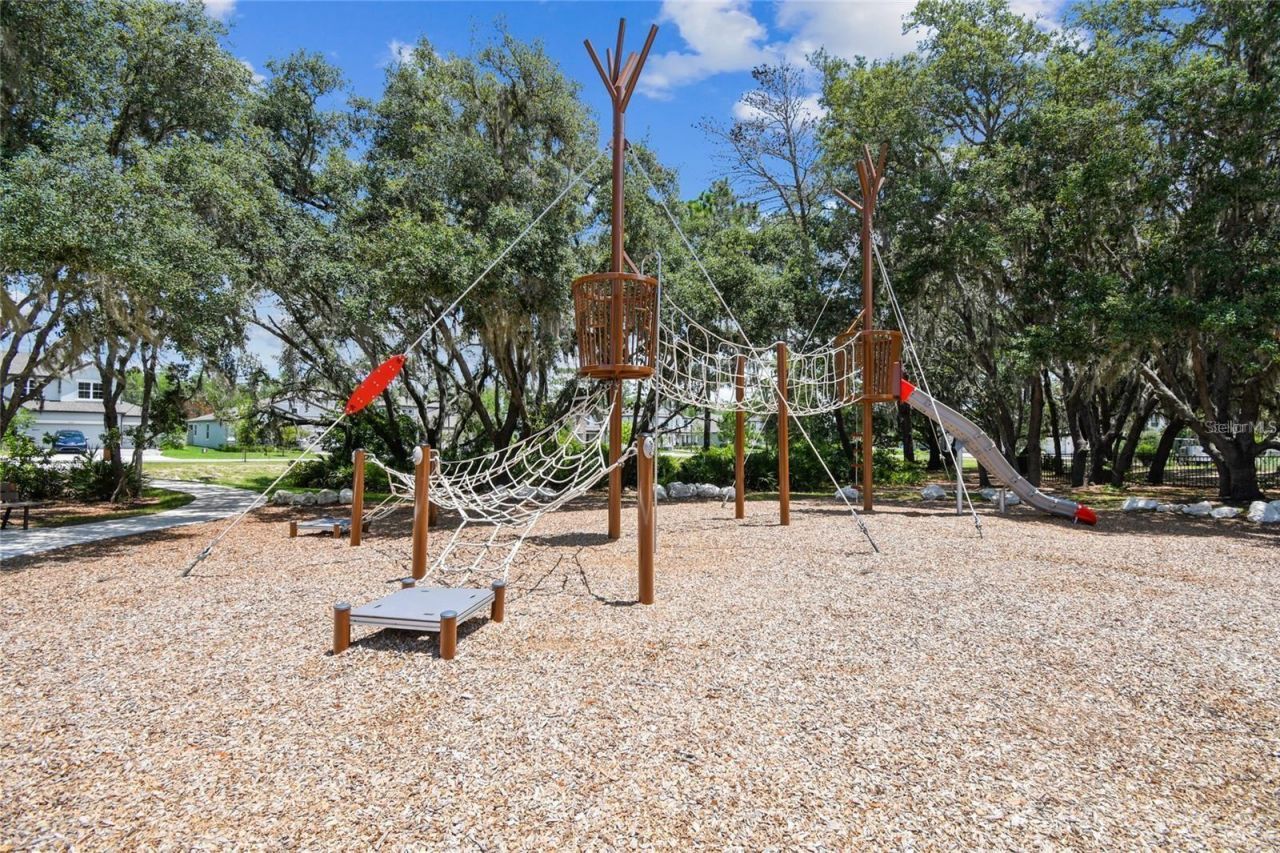 4275 Burdick Loop , Odessa, FL 33556 Photo
