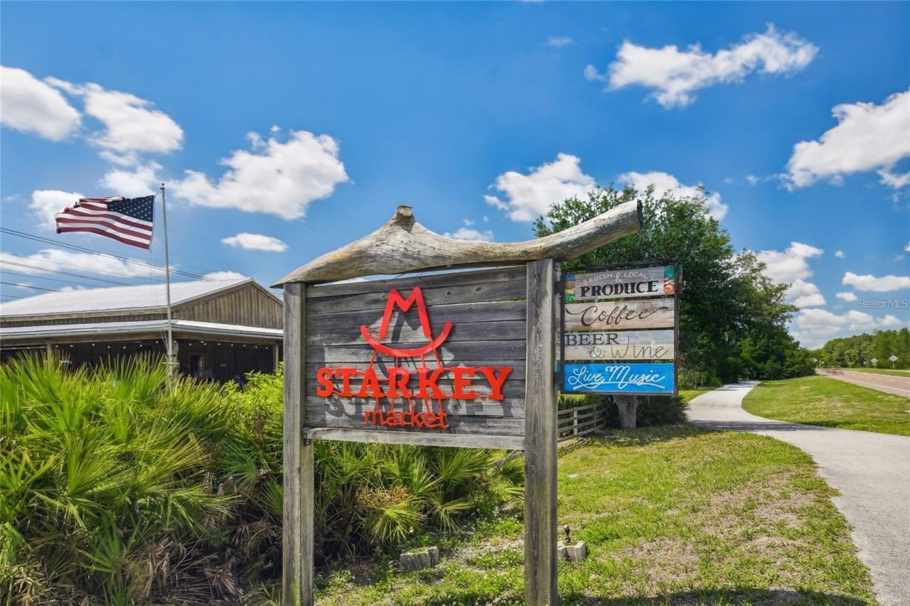 4275 Burdick Loop , Odessa, FL 33556 Photo