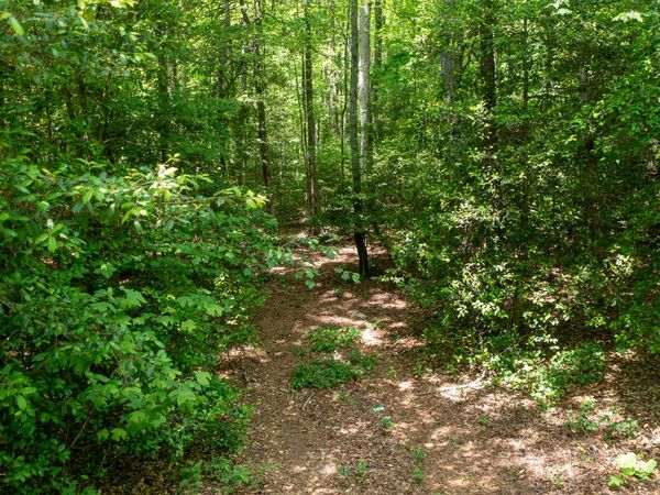 0 Hwy 136 (3.12 Acres), Dawsonville, GA 30534