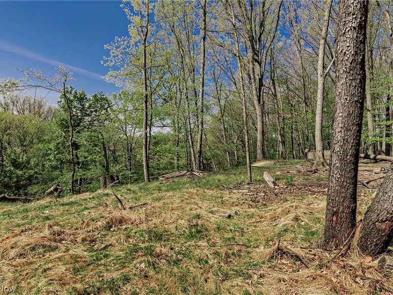 22530 Harms Road, Richmond Heights, OH 44143 Photo 43