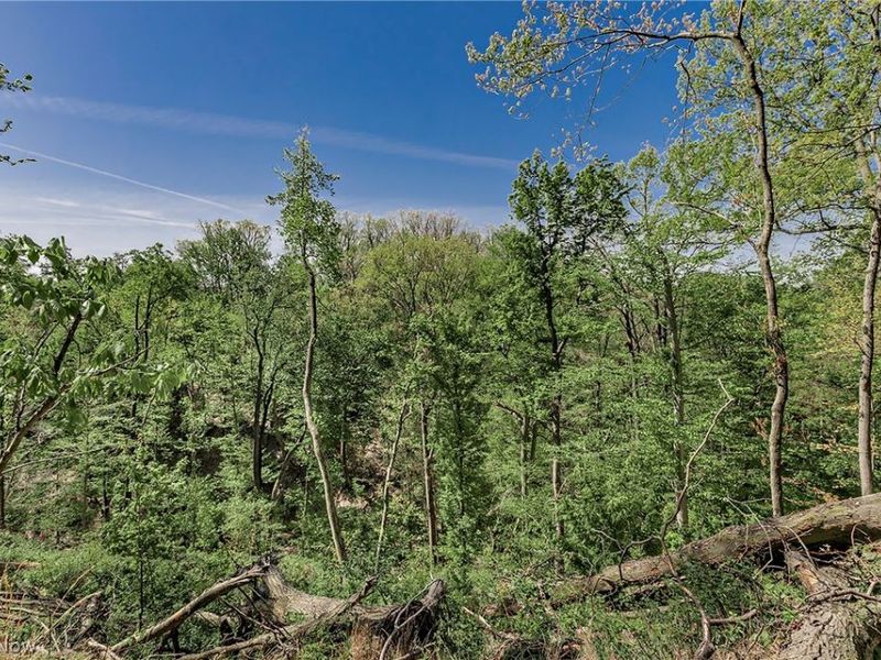 22530 Harms Road, Richmond Heights, OH 44143 Photo 44