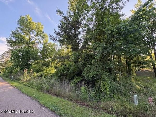 106 Holly Bush Place, Brandon, MS 39047